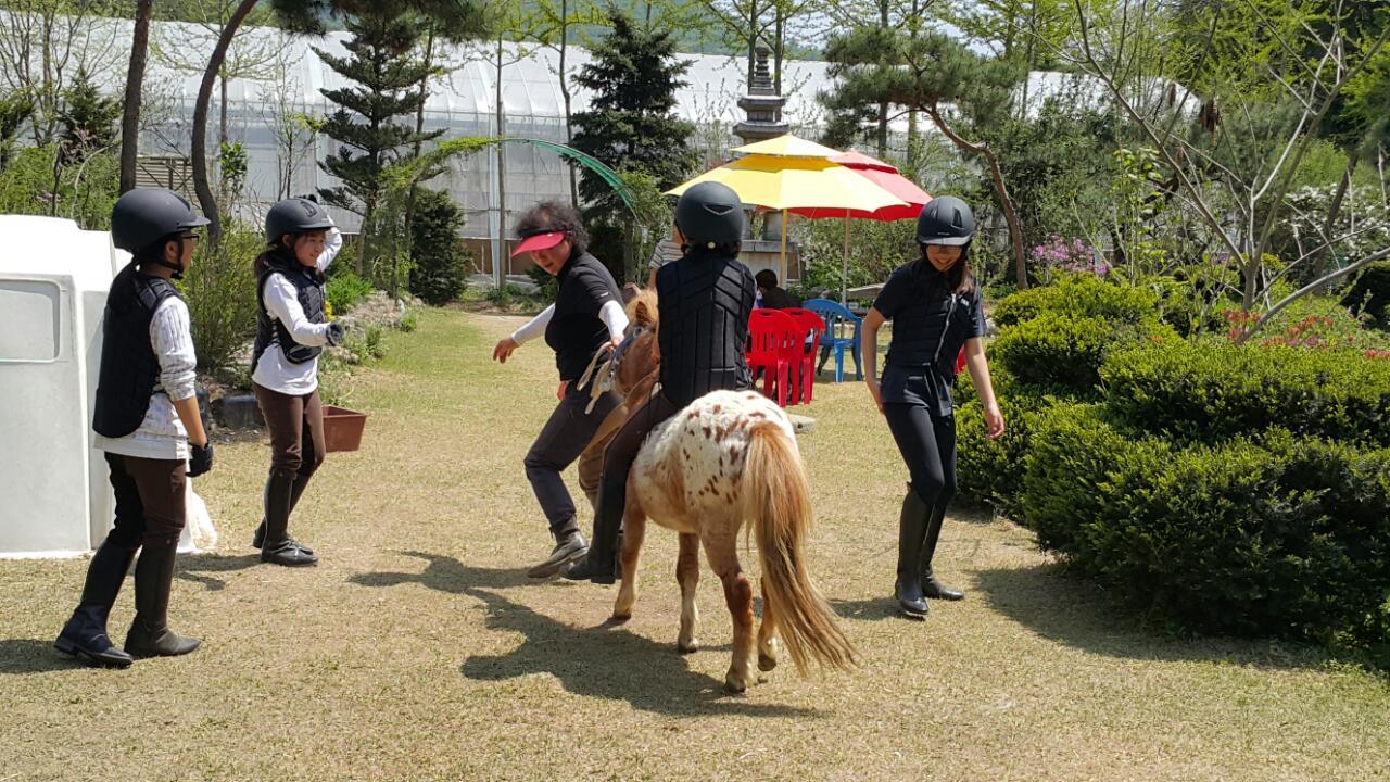 대암홀스랜드