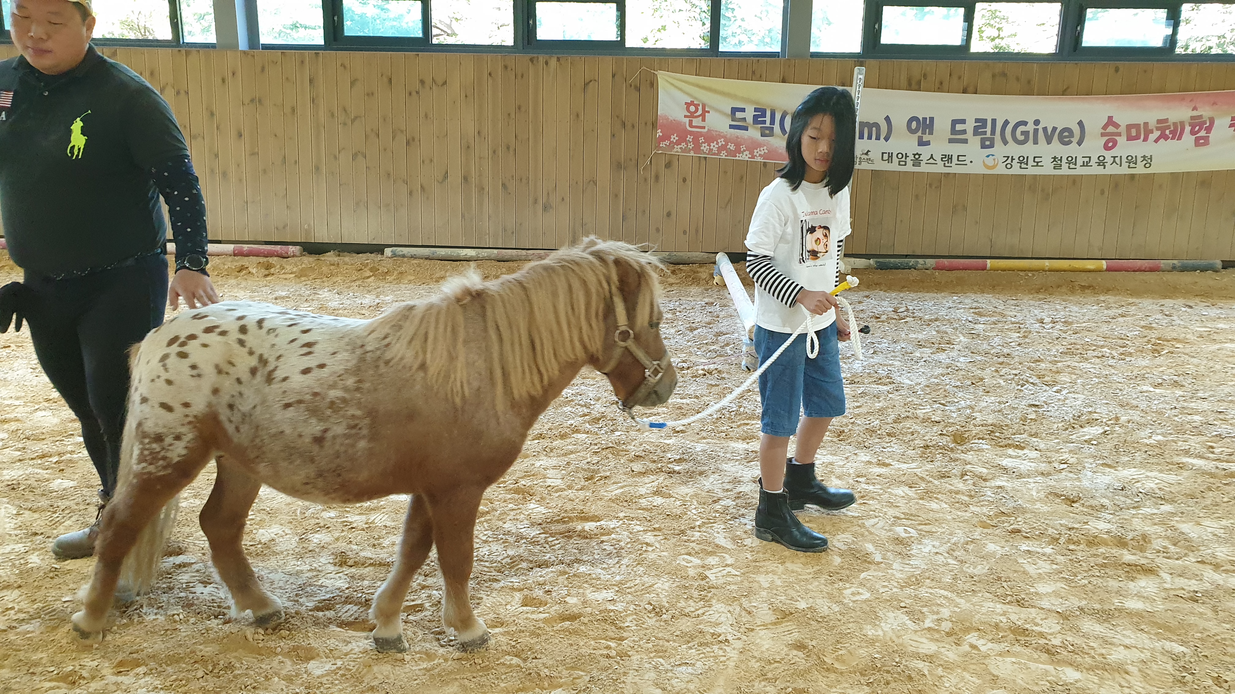 대암홀스랜드