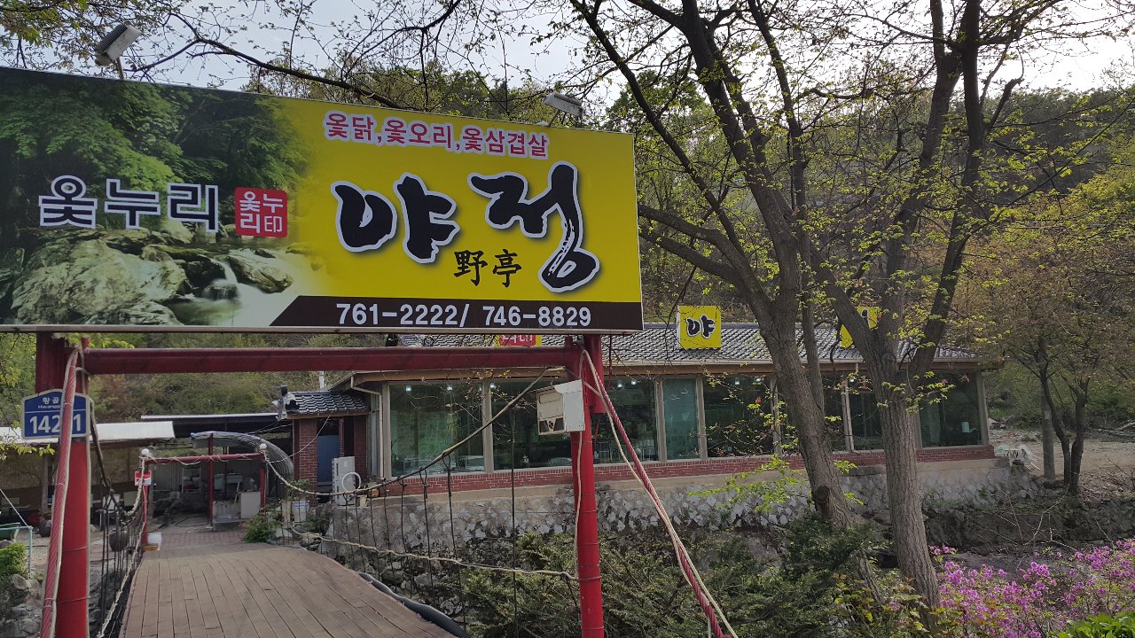 야정