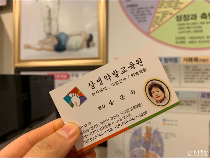 송윤숙상생약발