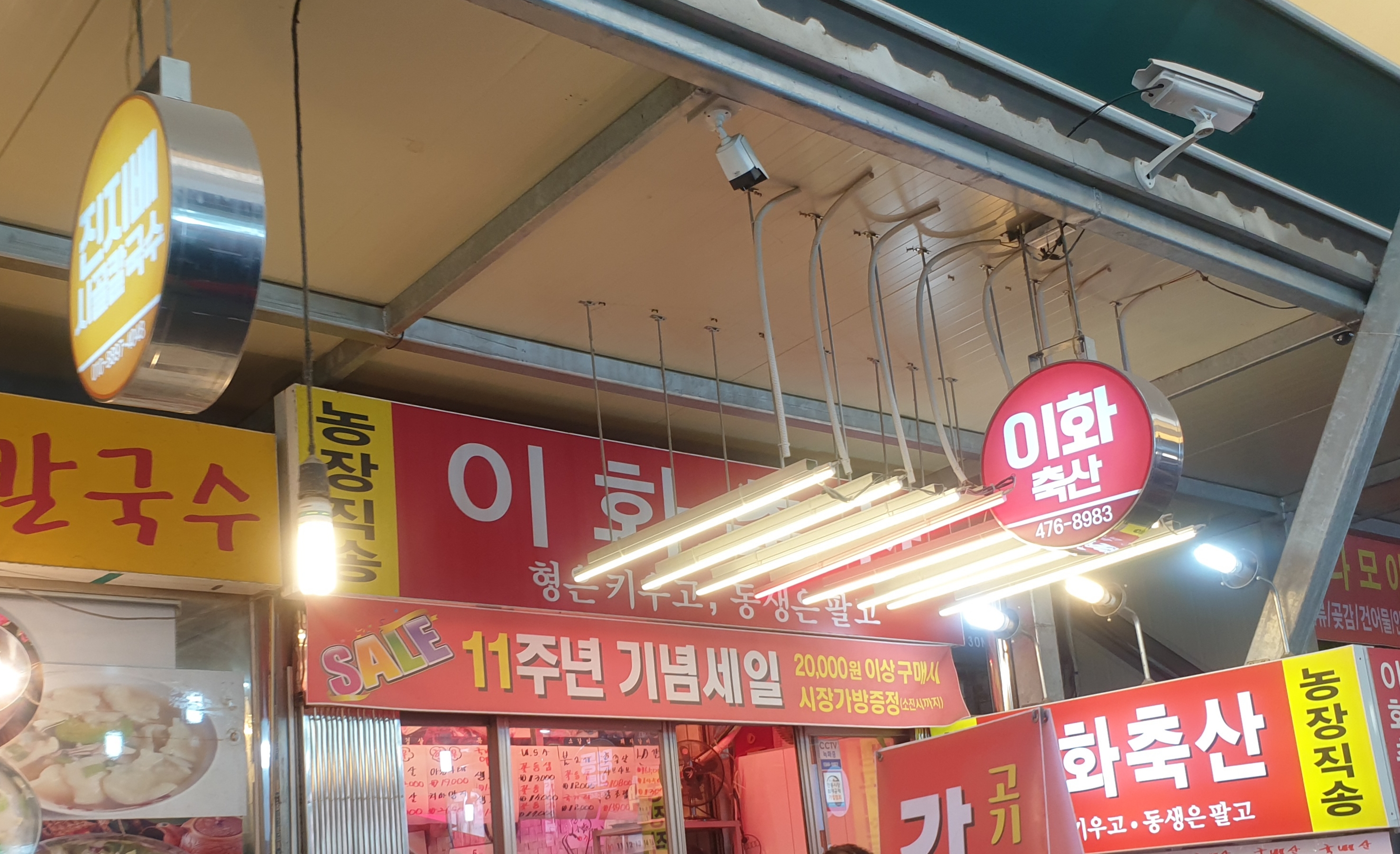 이화정육점