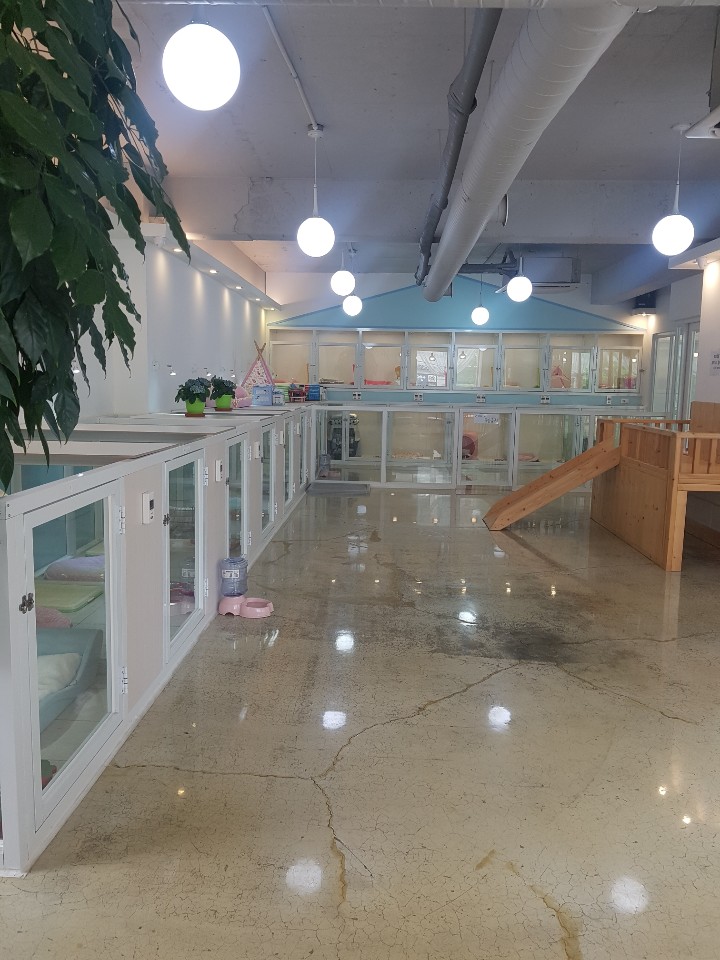 러블리독 2