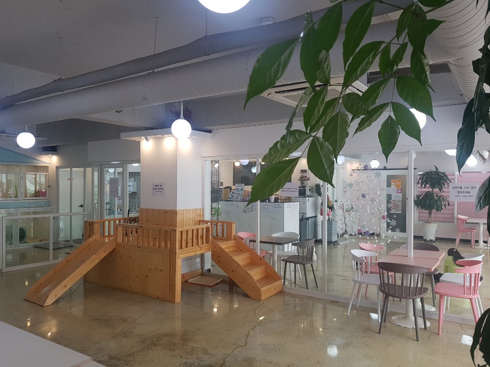 러블리독 애견호텔&애견카페 대표 이미지