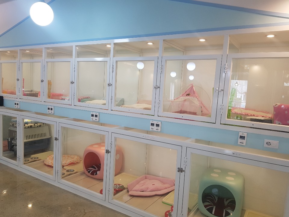 러블리독 애견호텔&애견카페 대표 이미지