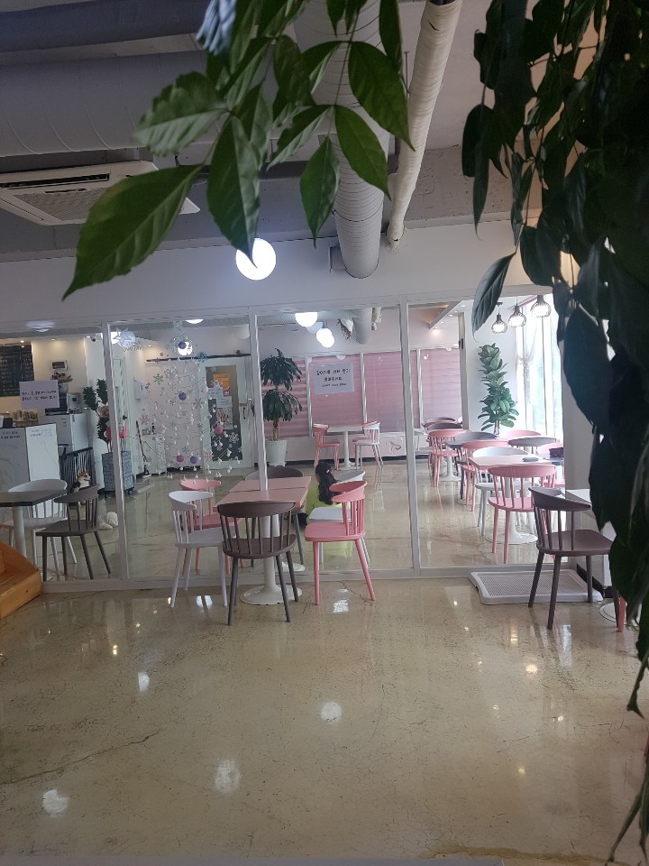 러블리독 인천 애견맛집