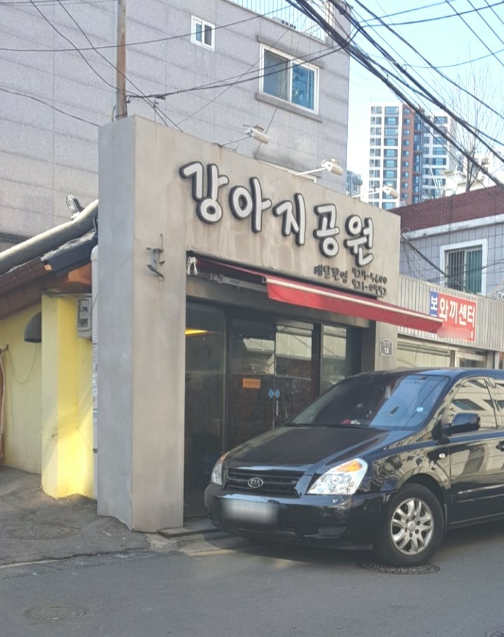 강아지 공원 대표 이미지