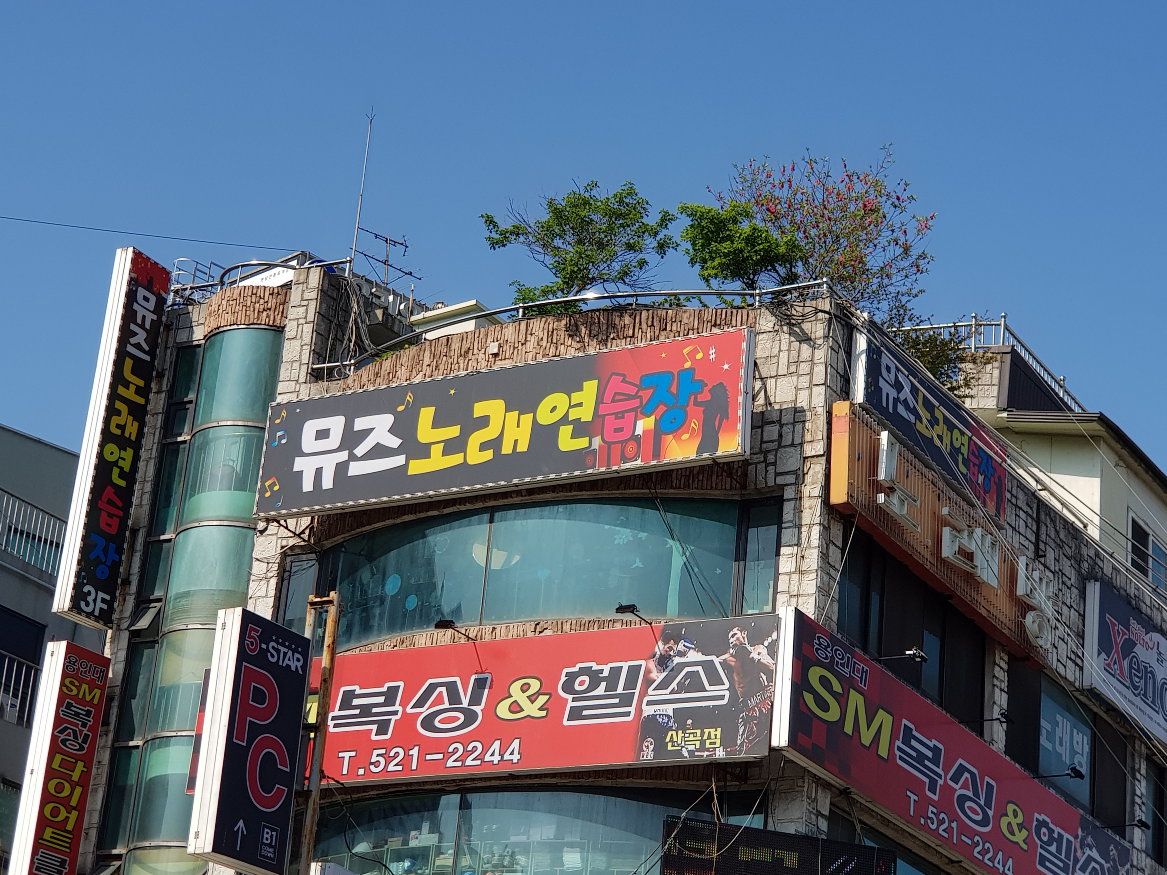 뮤즈노래연습장