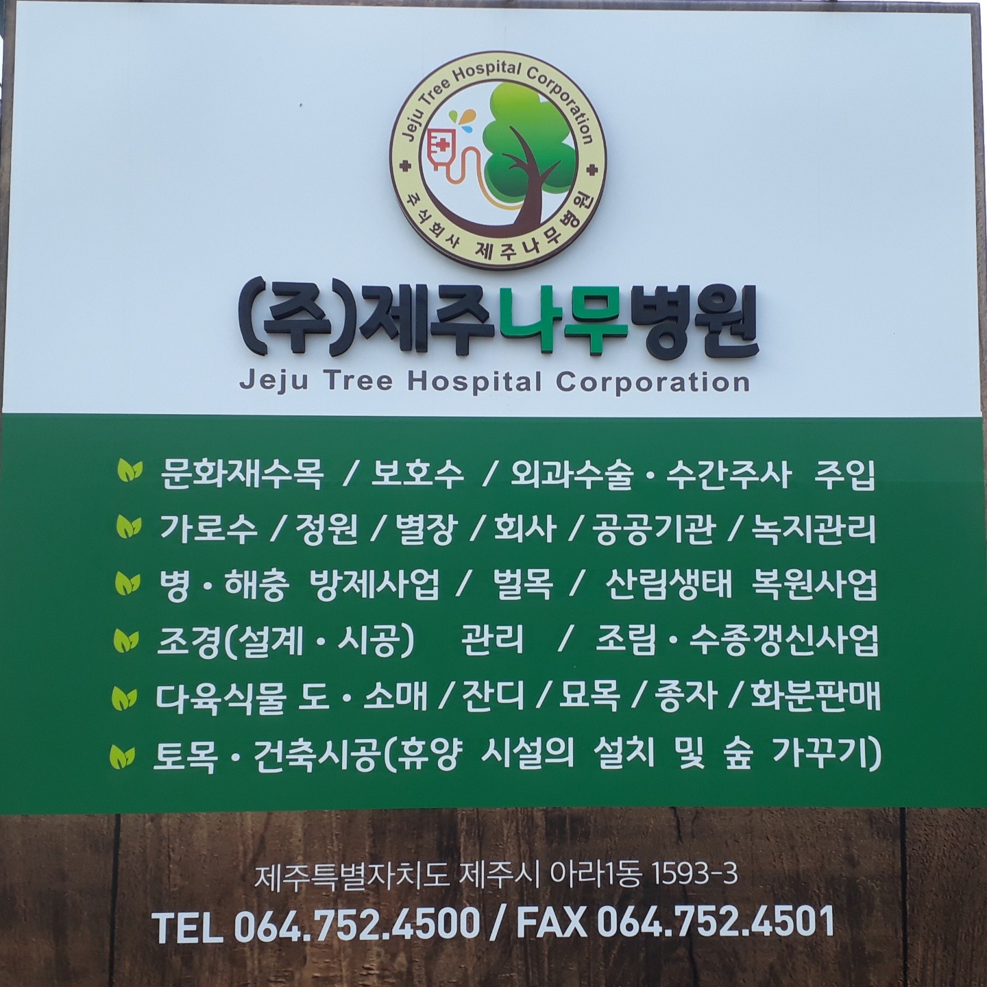 제주나무병원