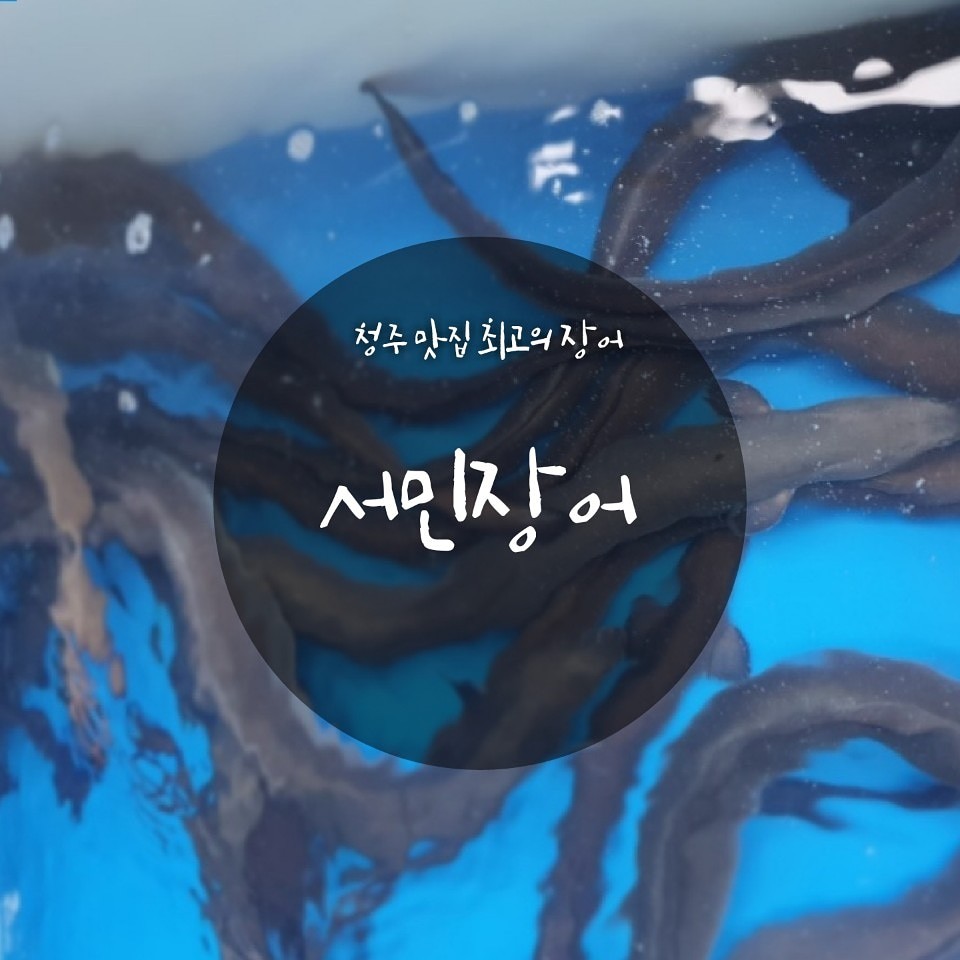 서민장어