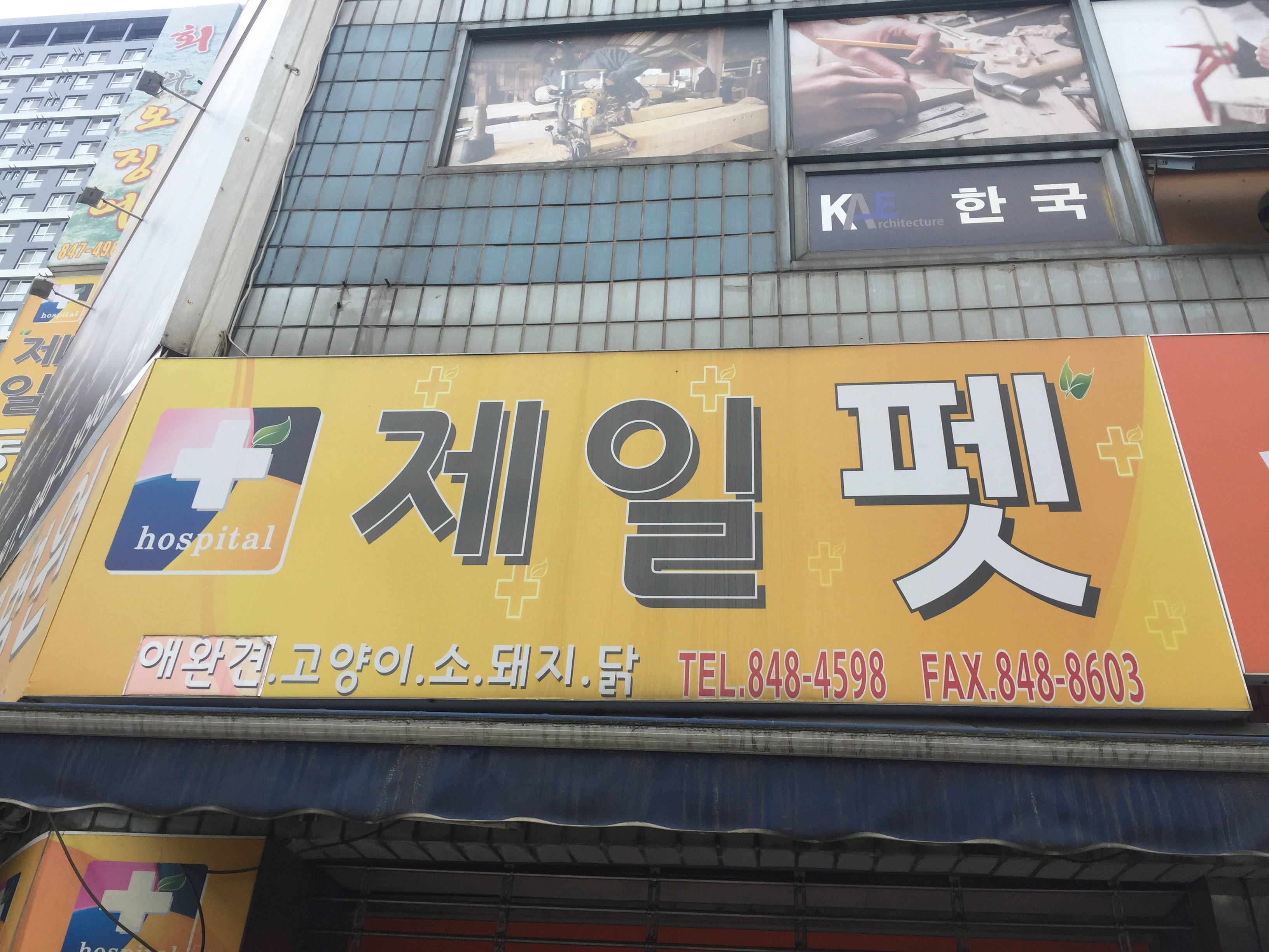 제일동물병원