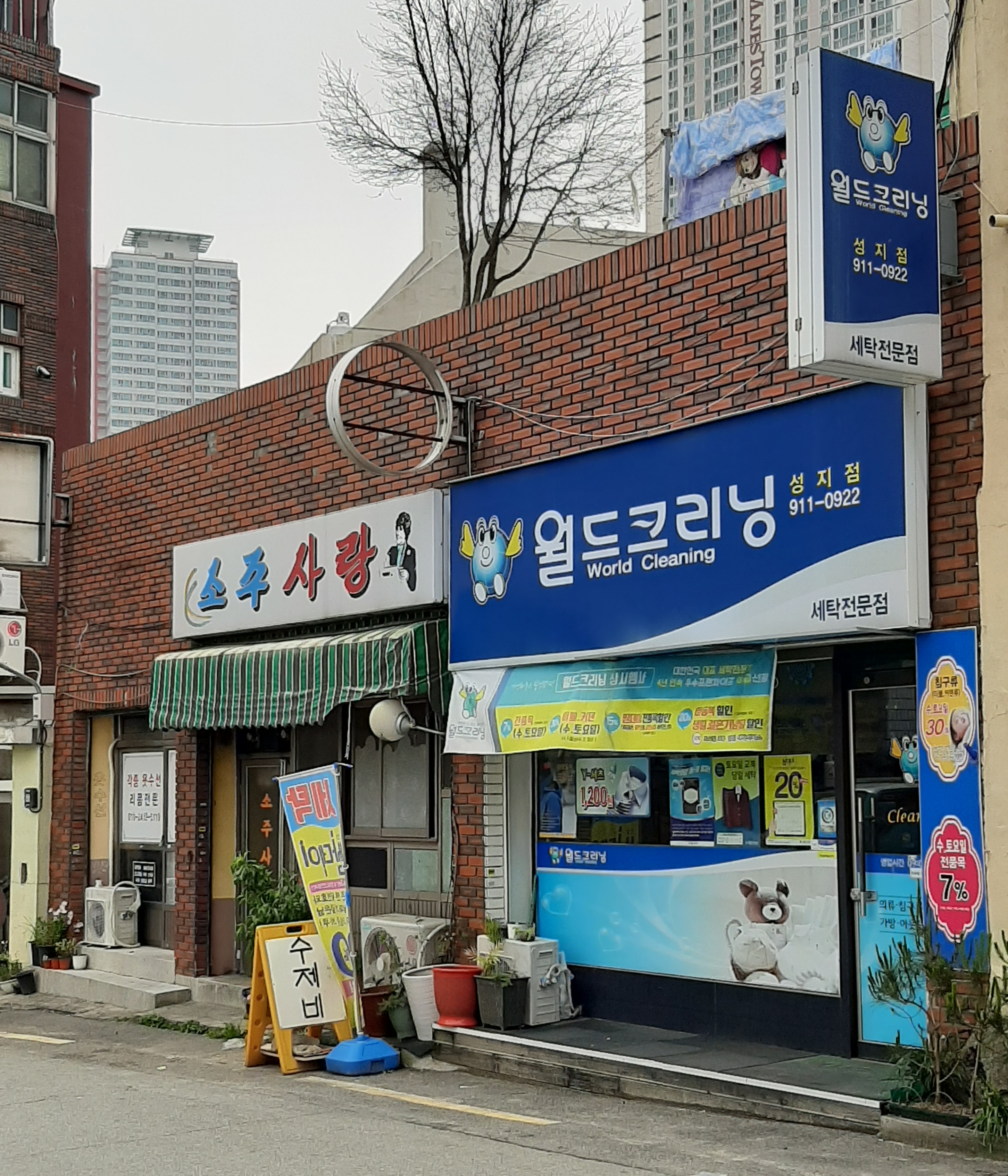 소주사랑