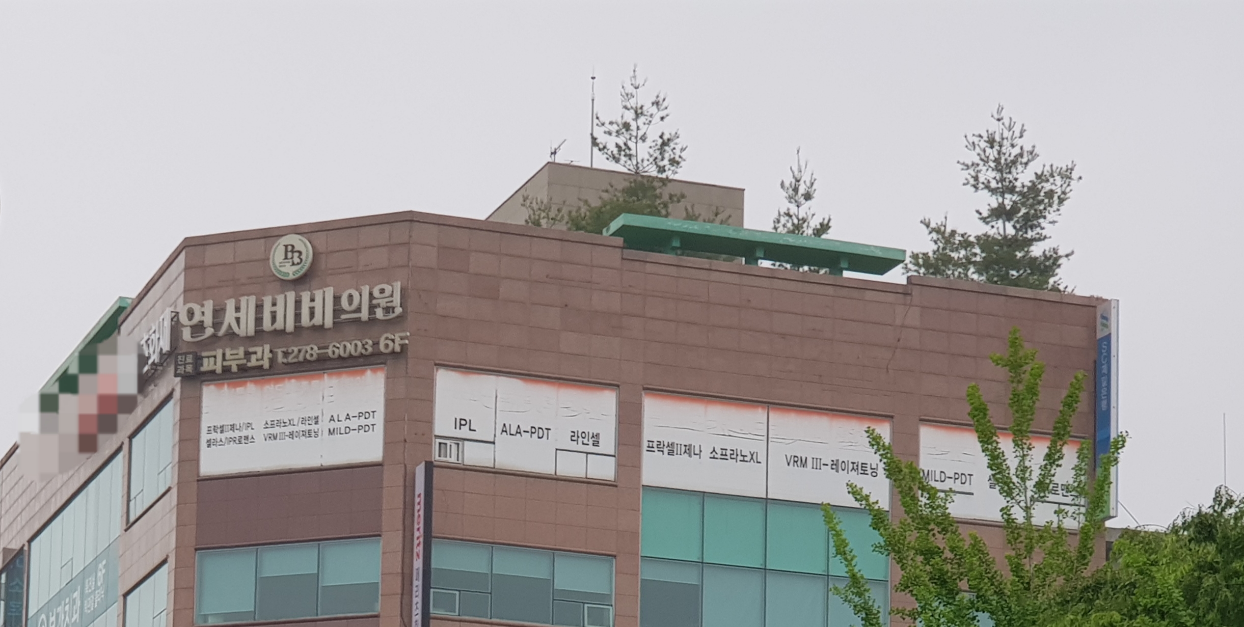 연세비비의원 대표 이미지