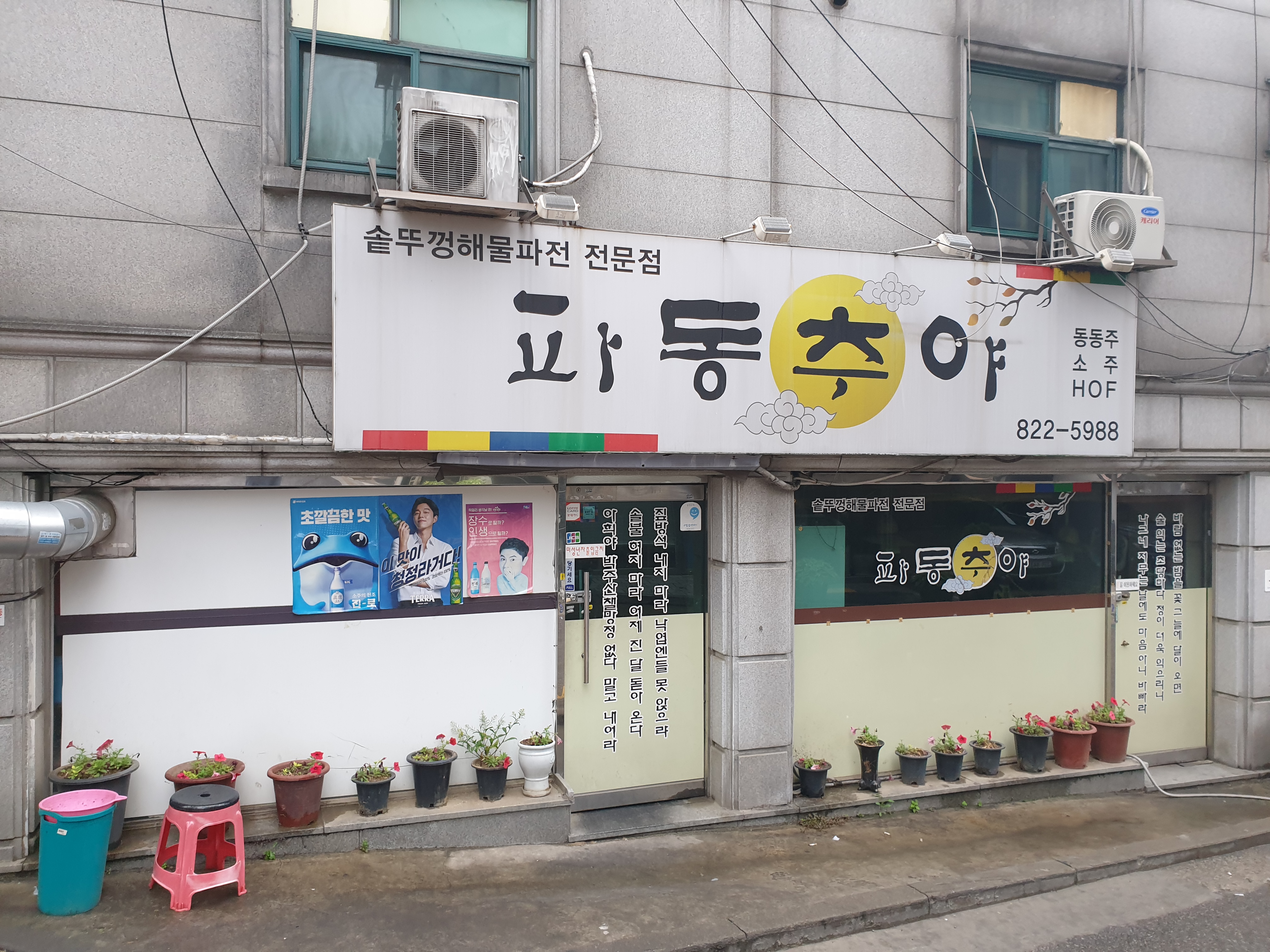파동추야