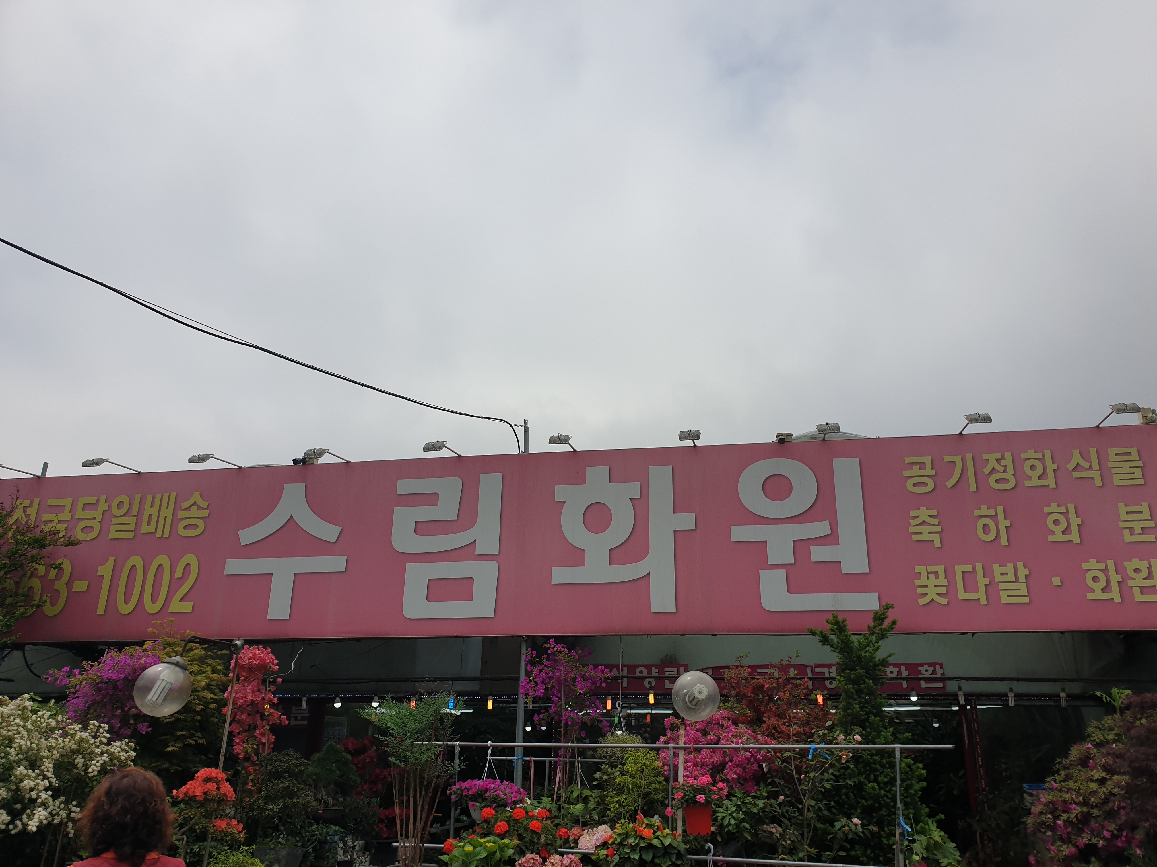 수림화원