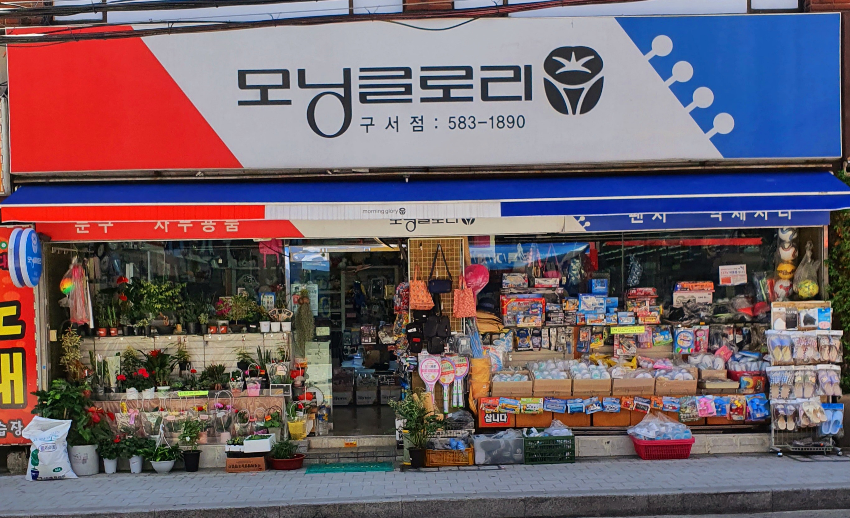 모닝글로리 구서점