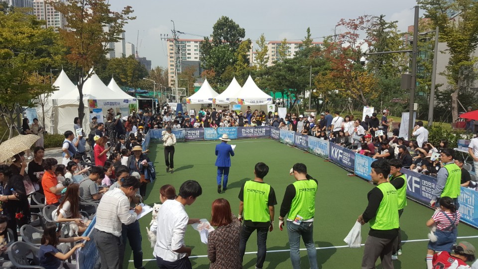 위드애니멀 사무실 이미지