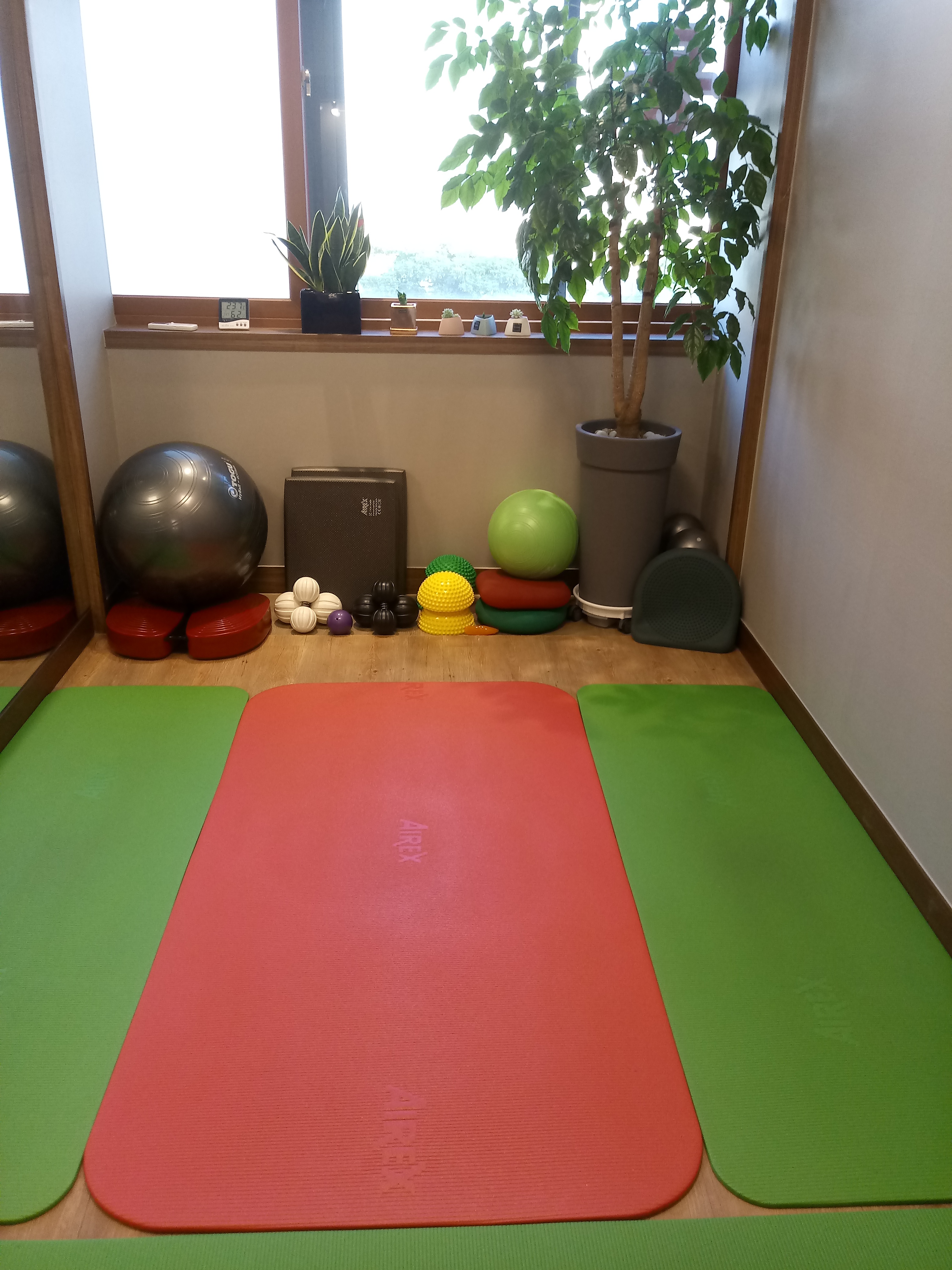 사람사랑운동센터 대표 이미지