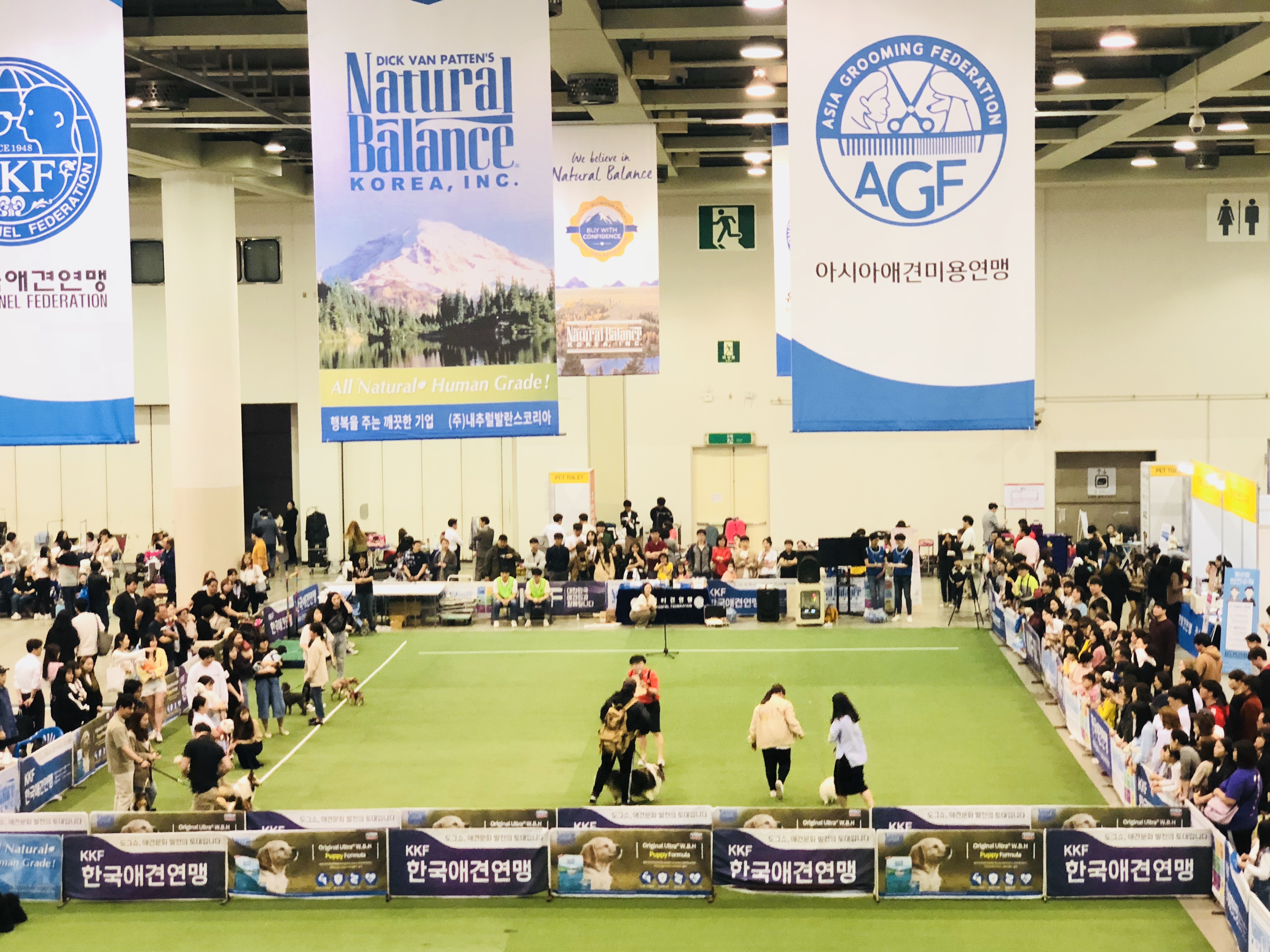 위드애니멀 대표 이미지