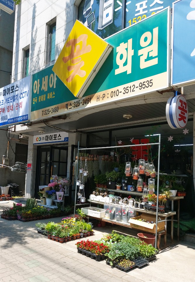 아세아꽃화원