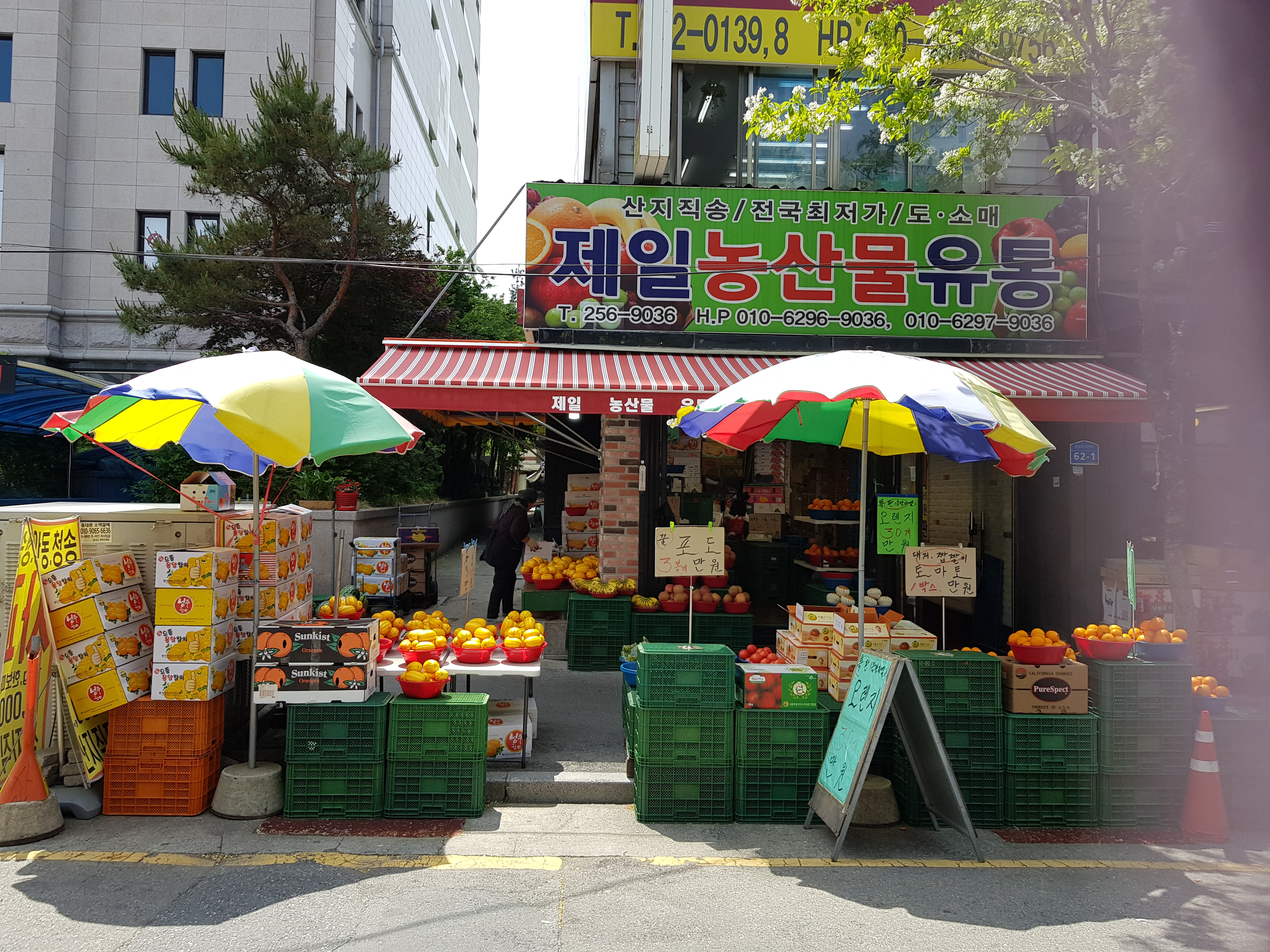 제일농산물유통