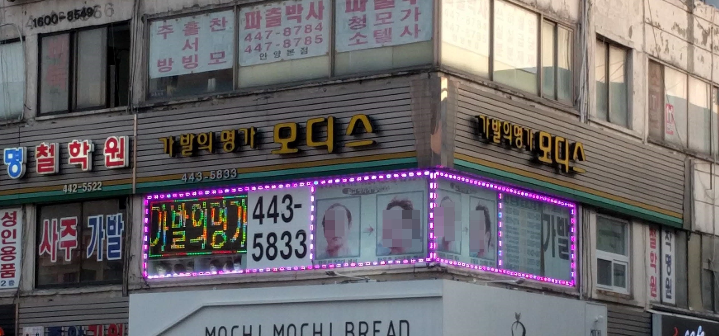 모디스가발