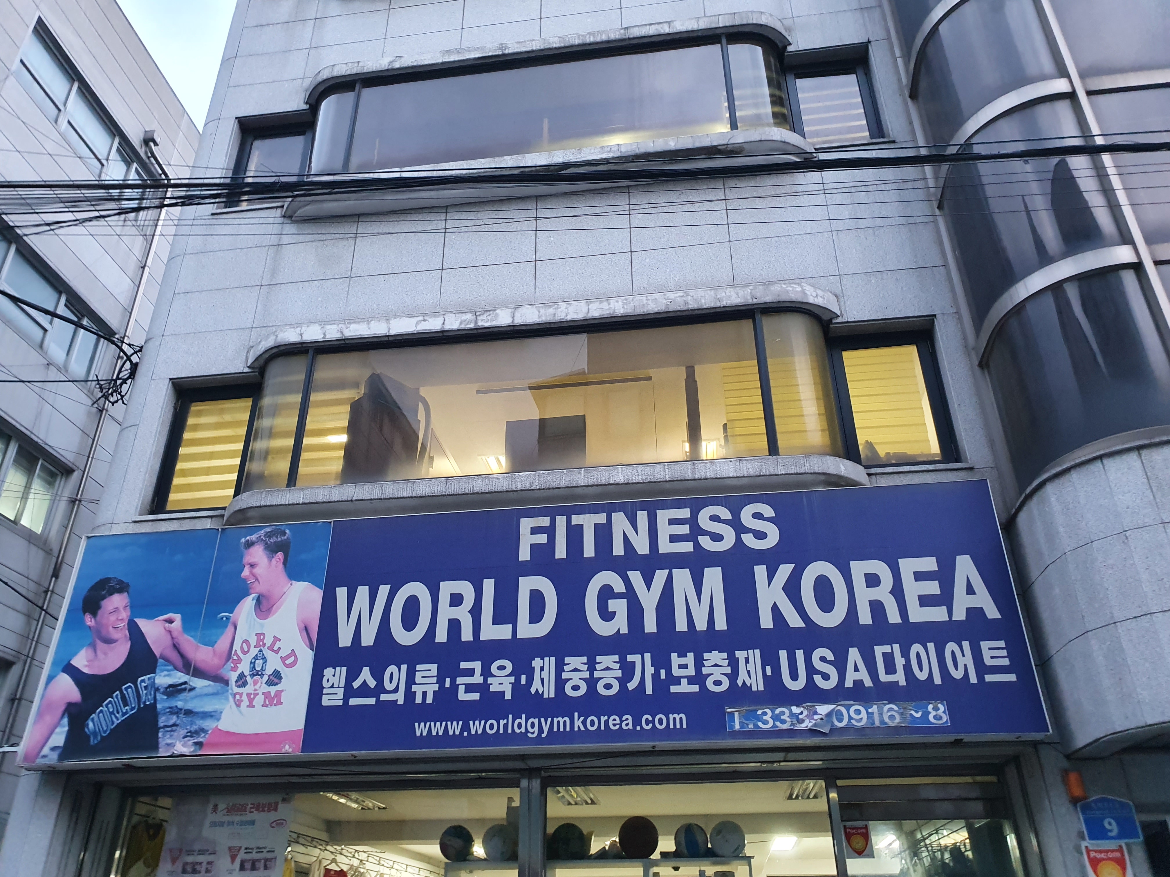 월드짐 코리아 대표 이미지