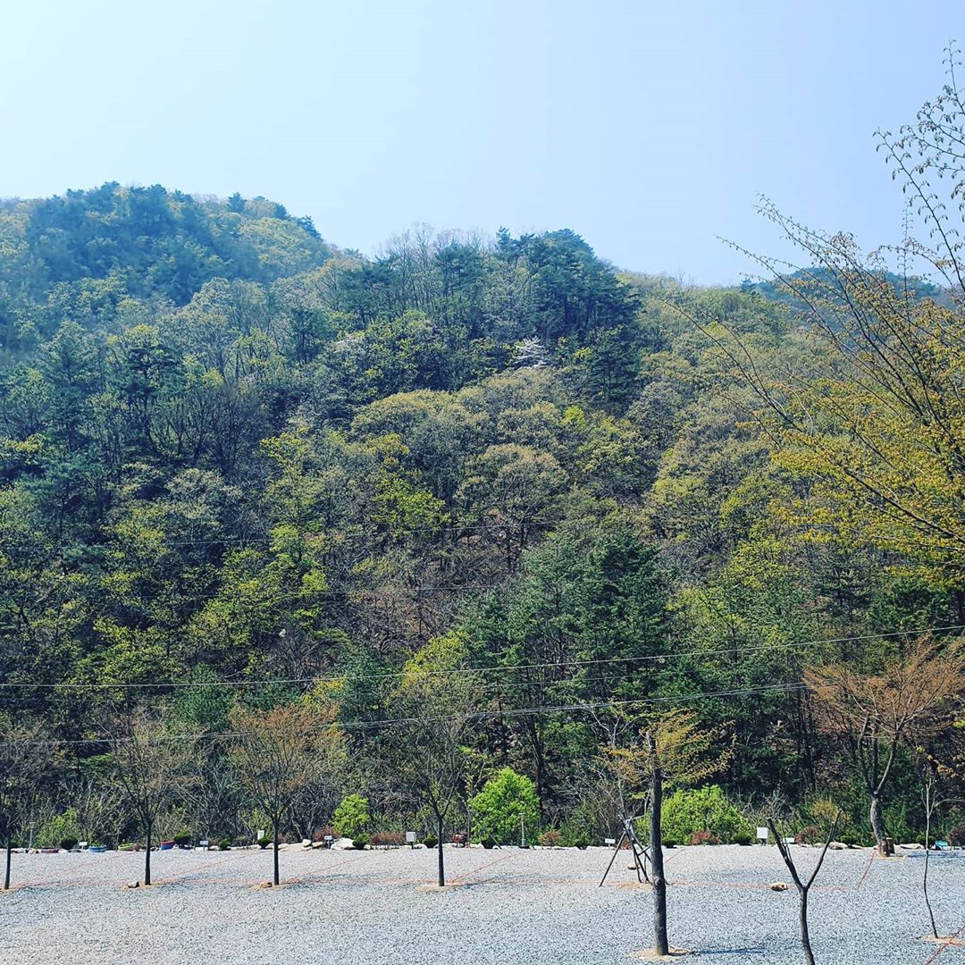더좋은펜션