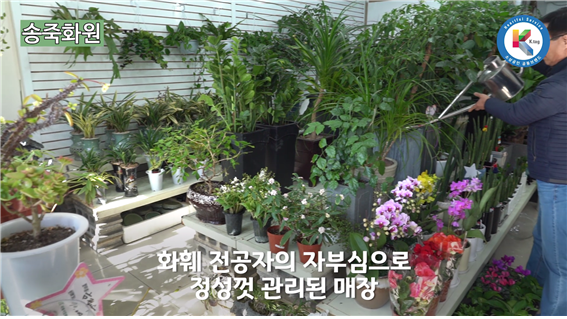 송죽화원