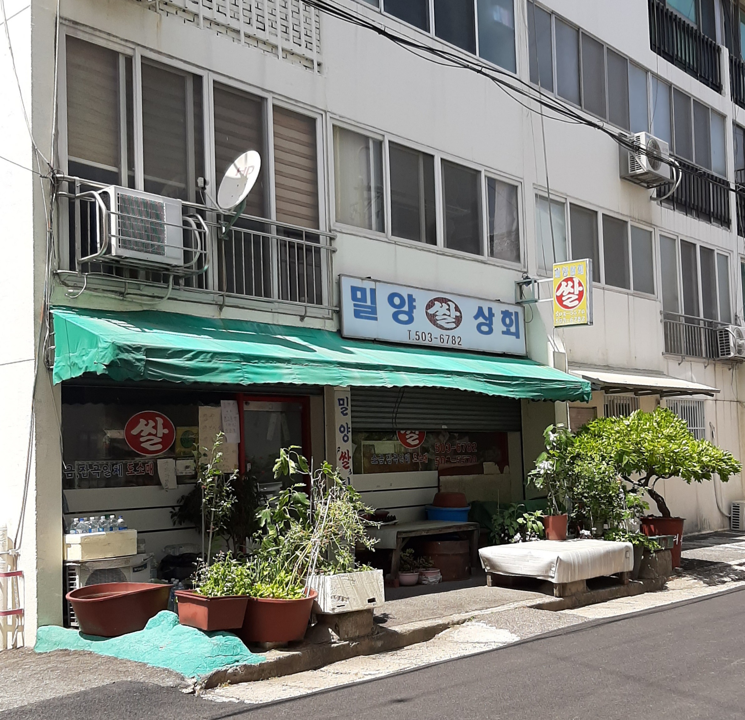밀양쌀상회