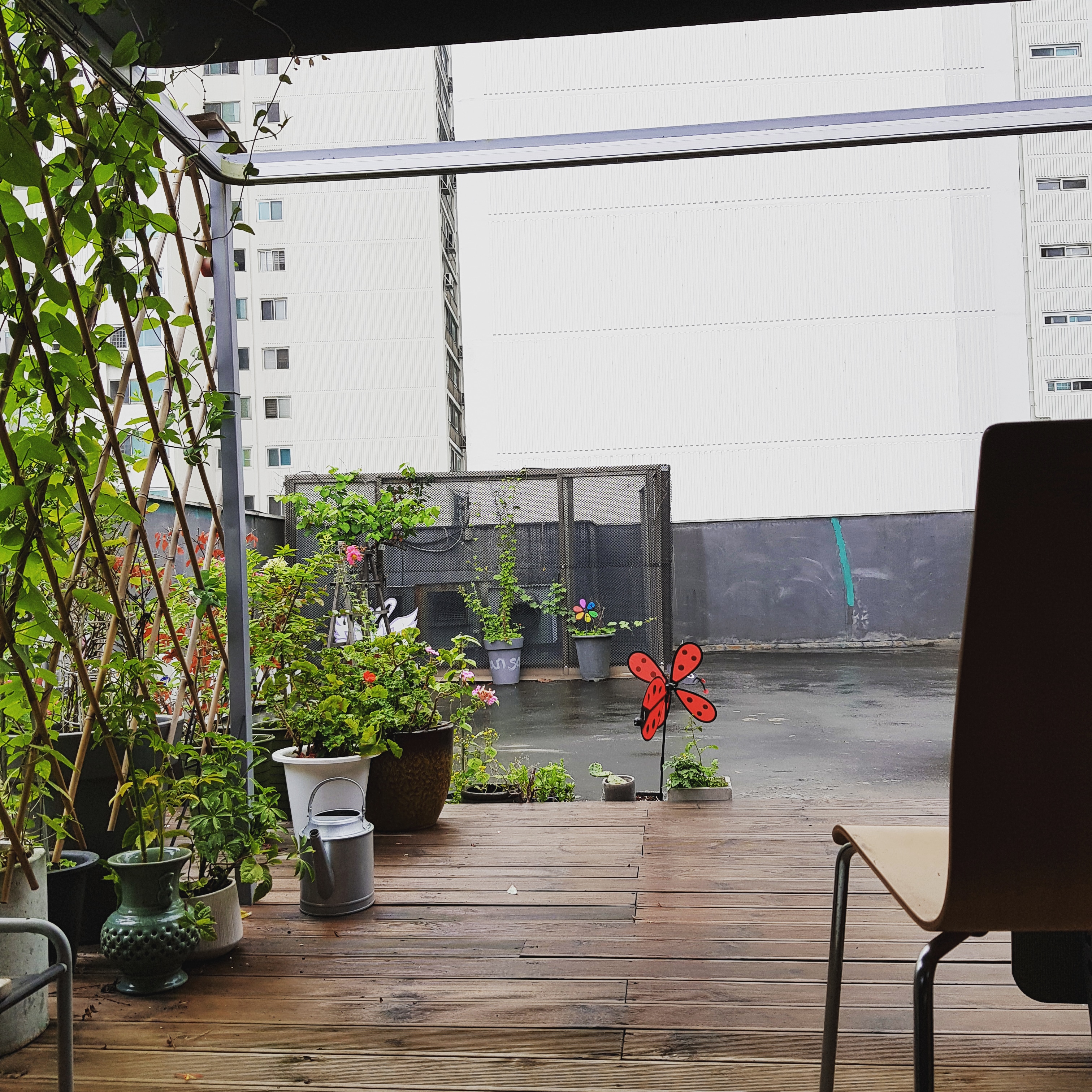 한사요가 대표 이미지