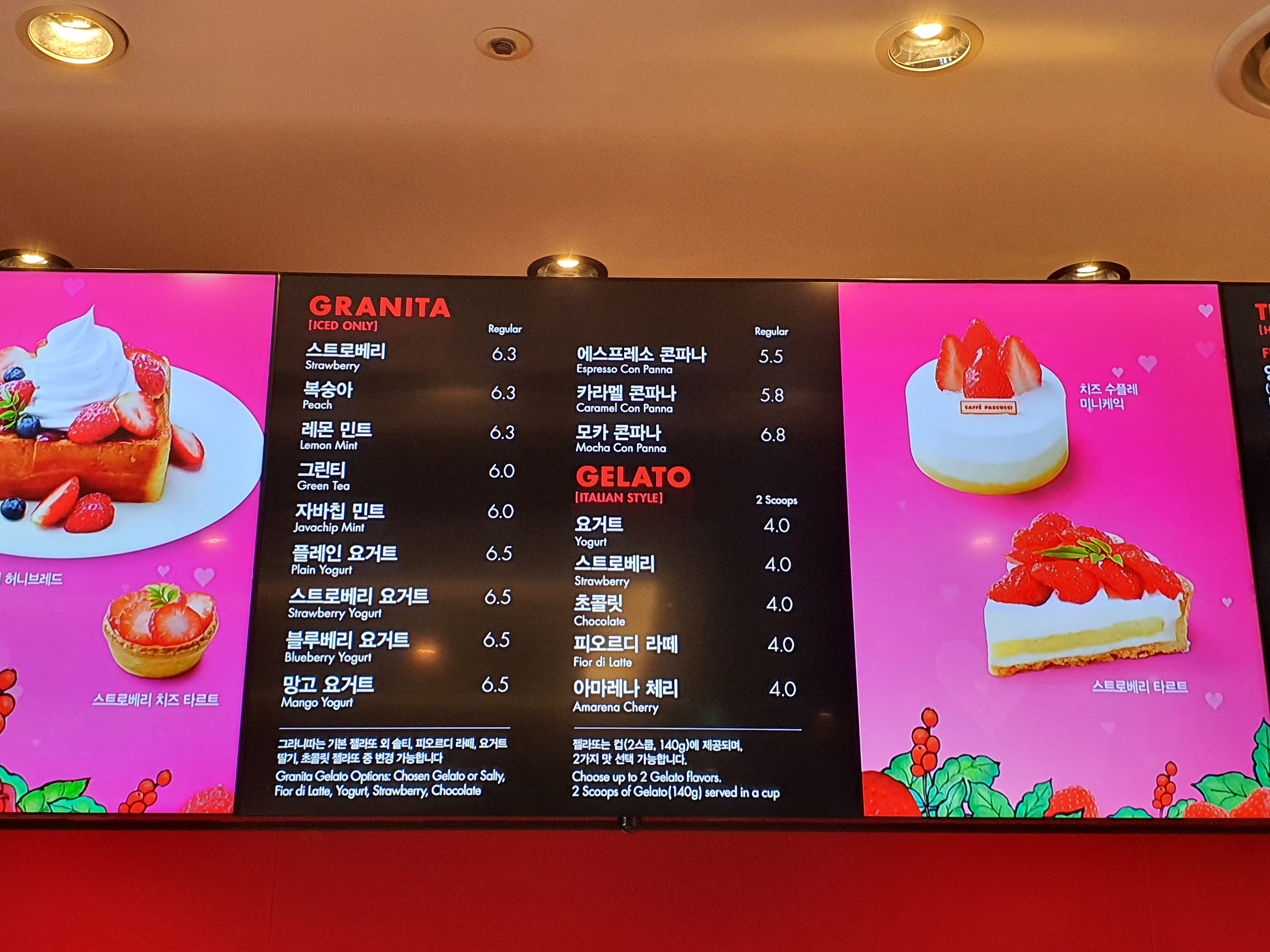 파스쿠찌 광주시청로점 반려동물 동반 애견카페