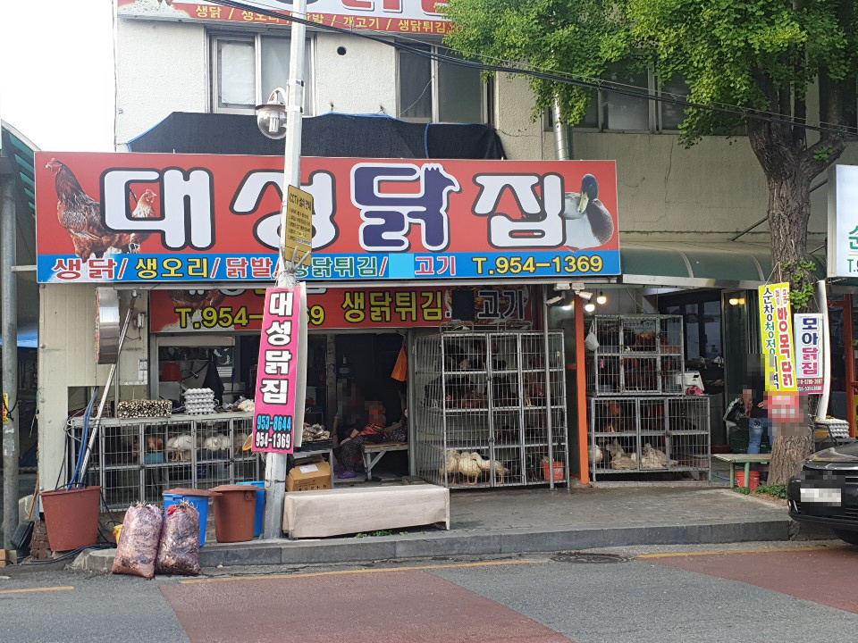 대성닭집