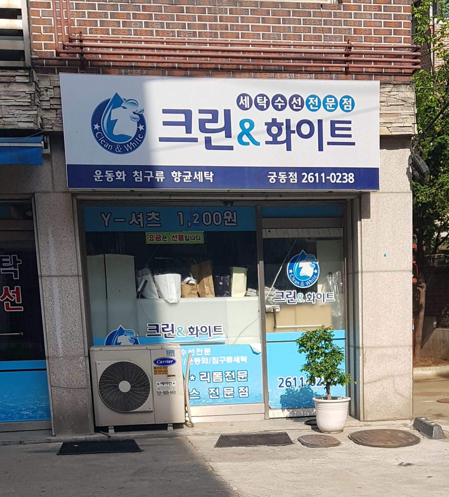 크린&화이트 궁동점
