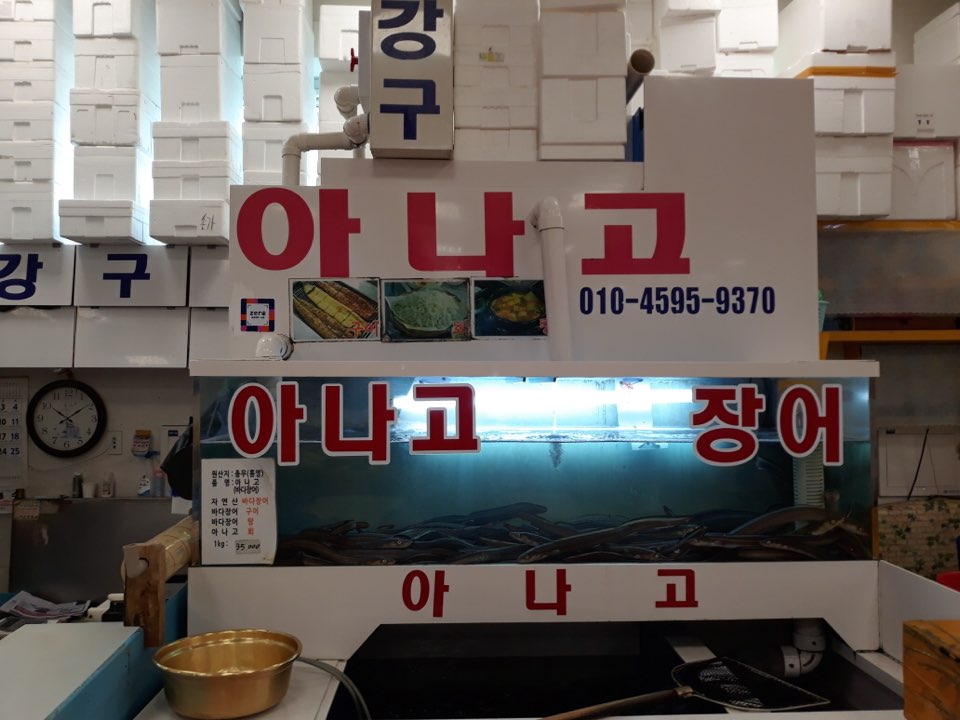 강구아나고