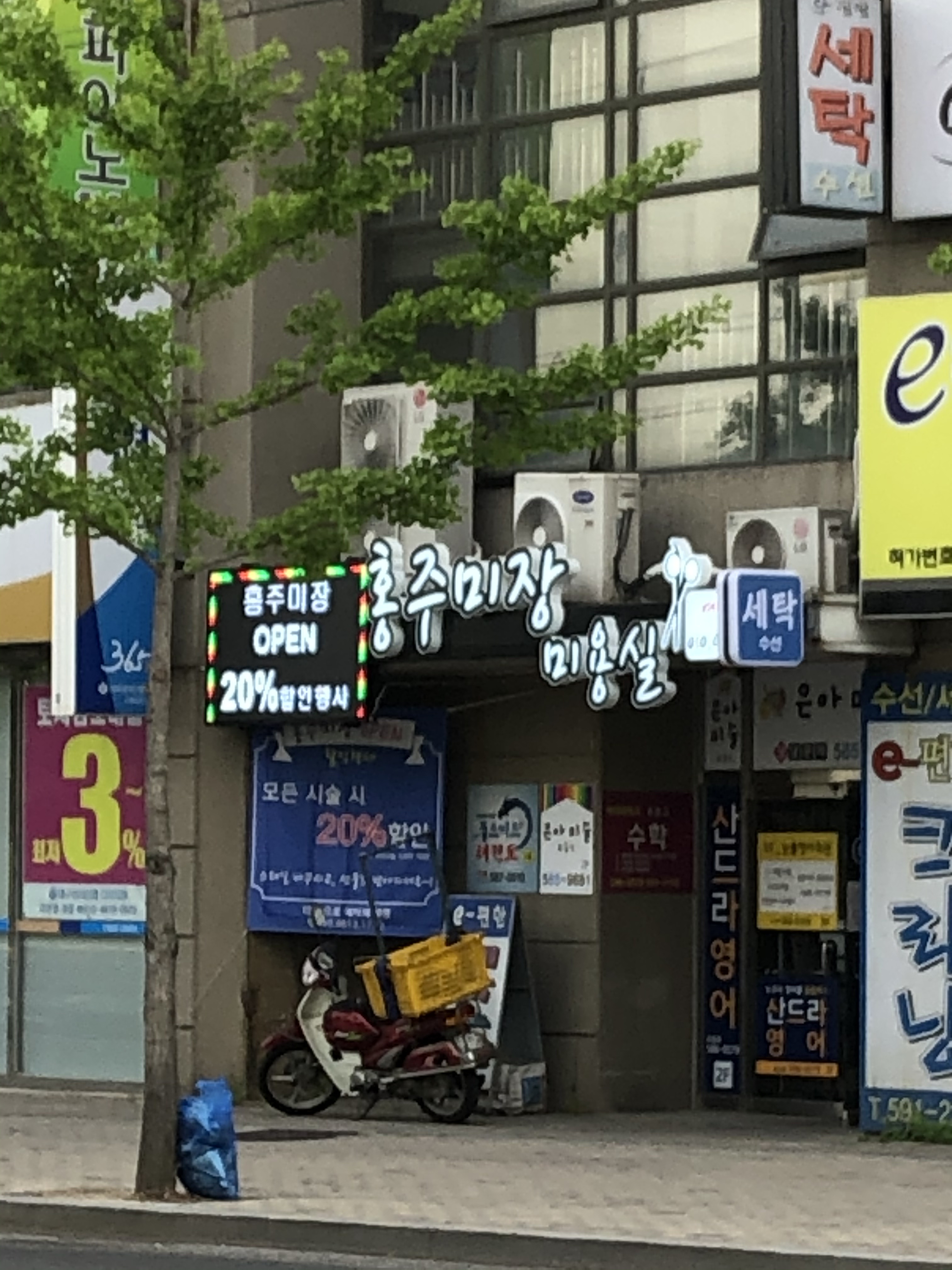 홍주미장미용실
