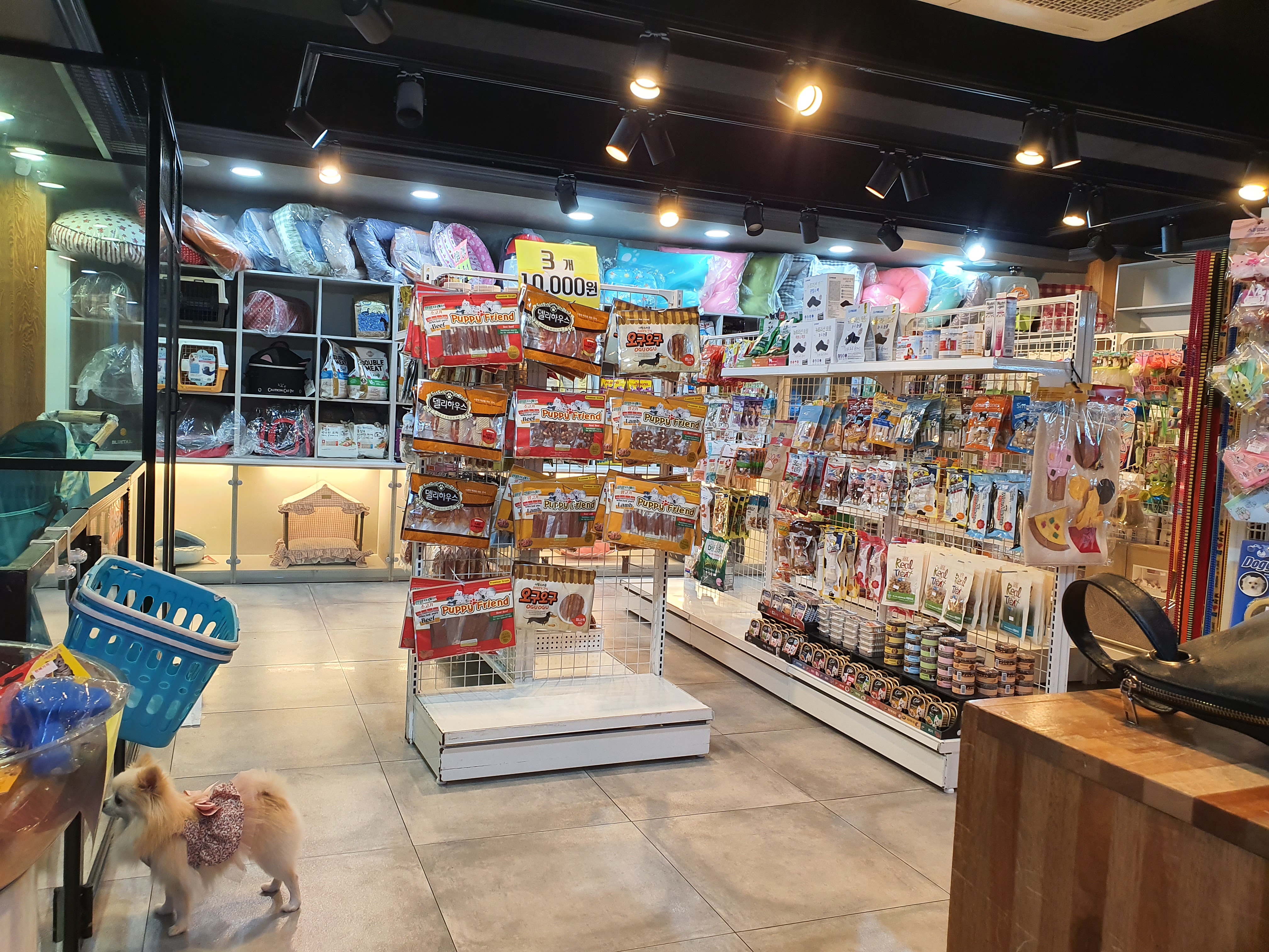 샵돌봄 대표 이미지