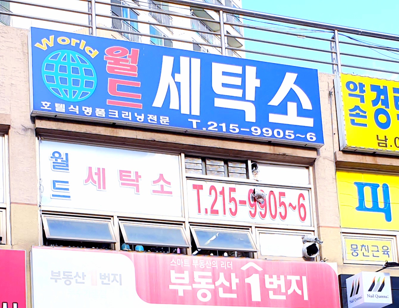 월드세탁소