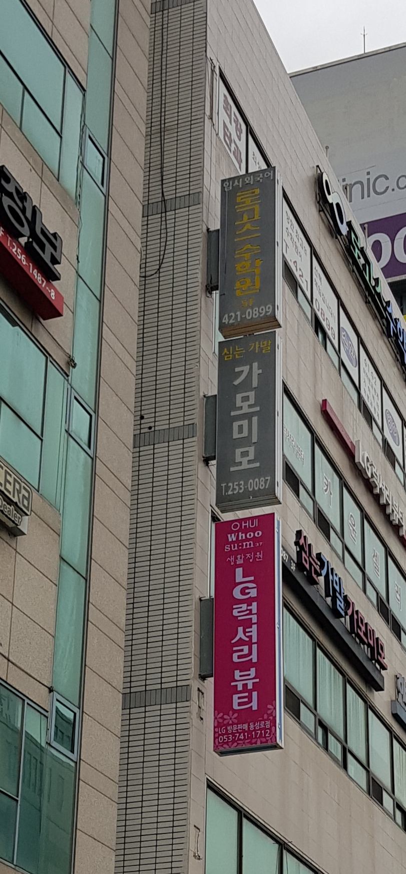 가모미모