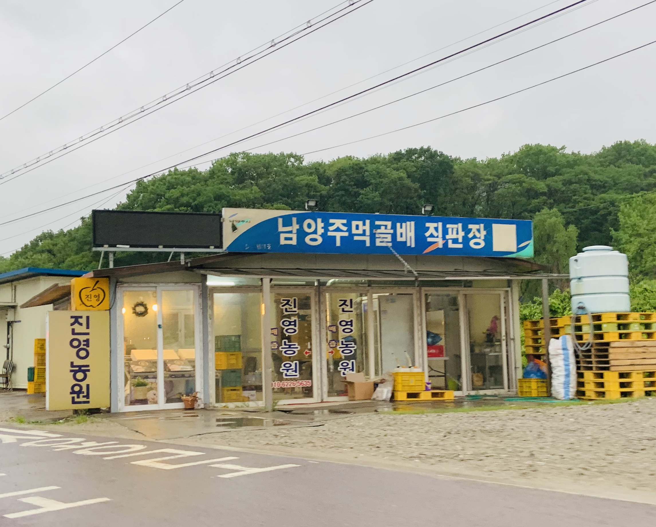 진영농원