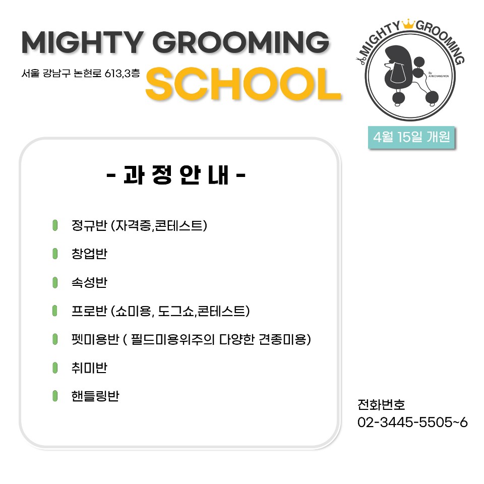 마이티애견미용학원 이미지