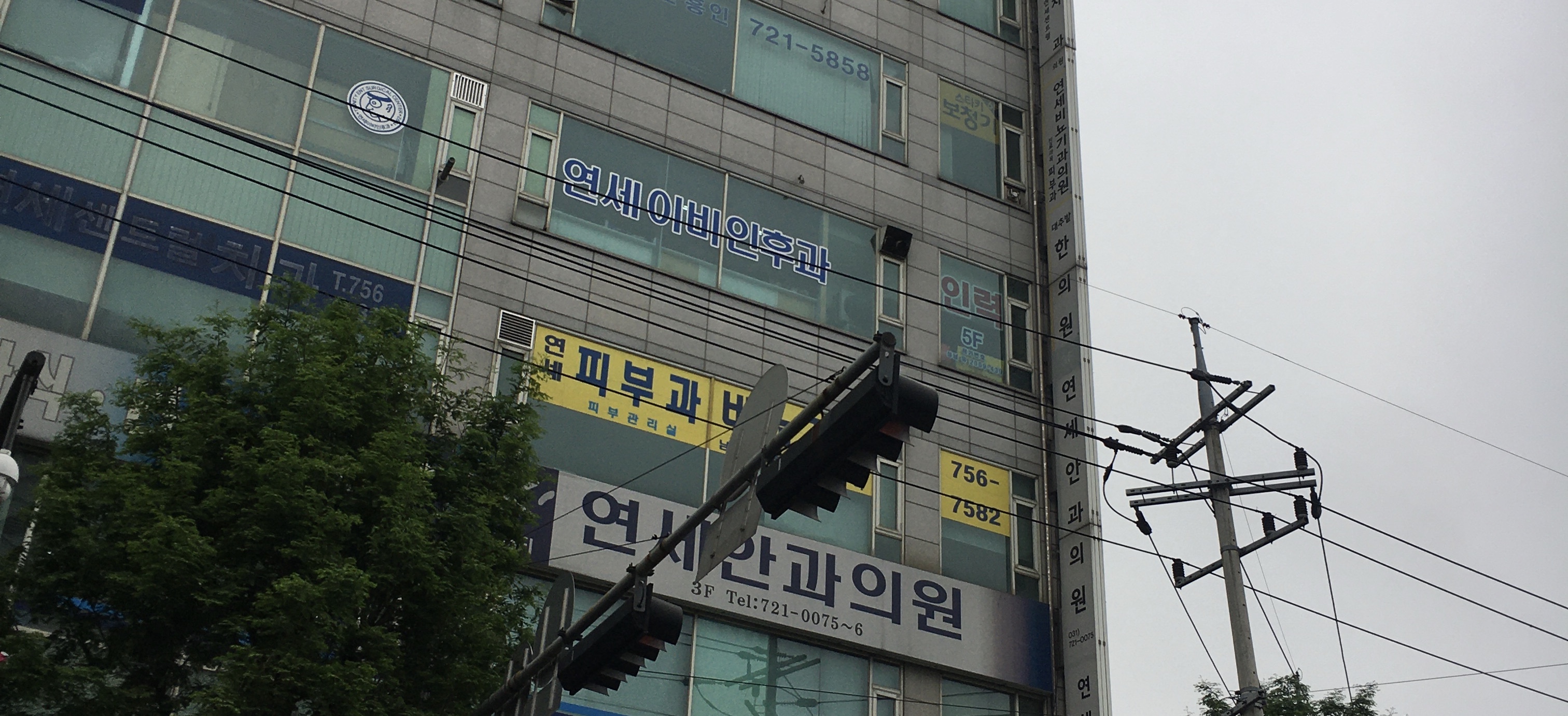 연세이비인후과의원 대표 이미지