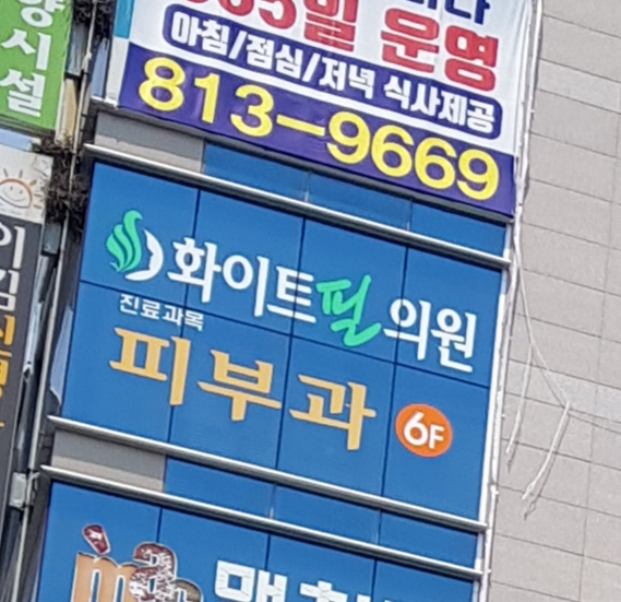 화이트필의원 대표 이미지