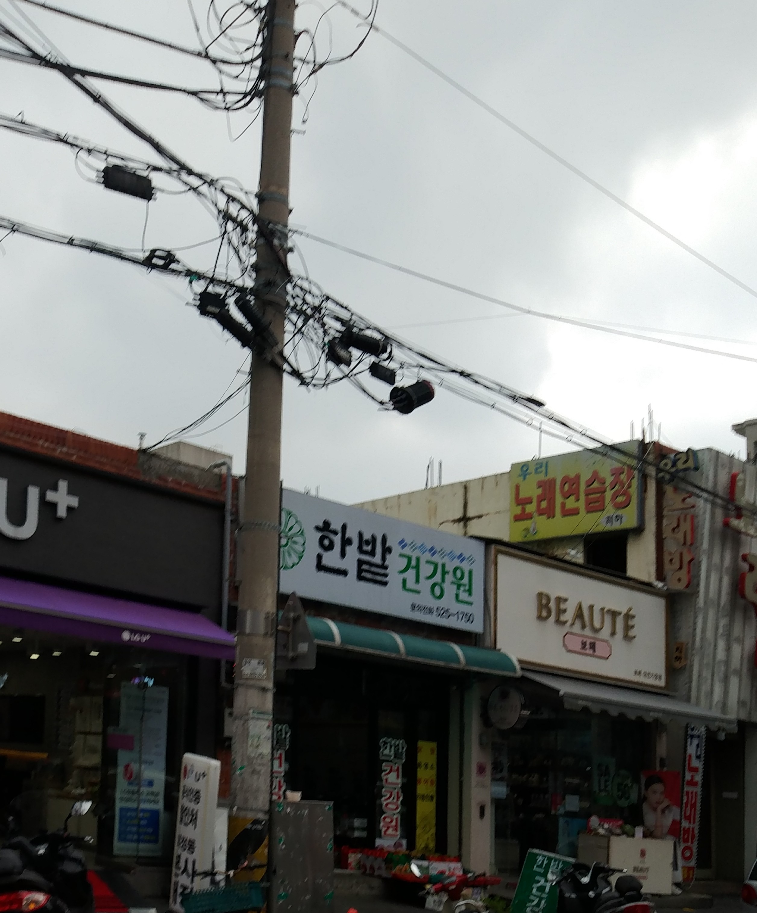 한밭건강원