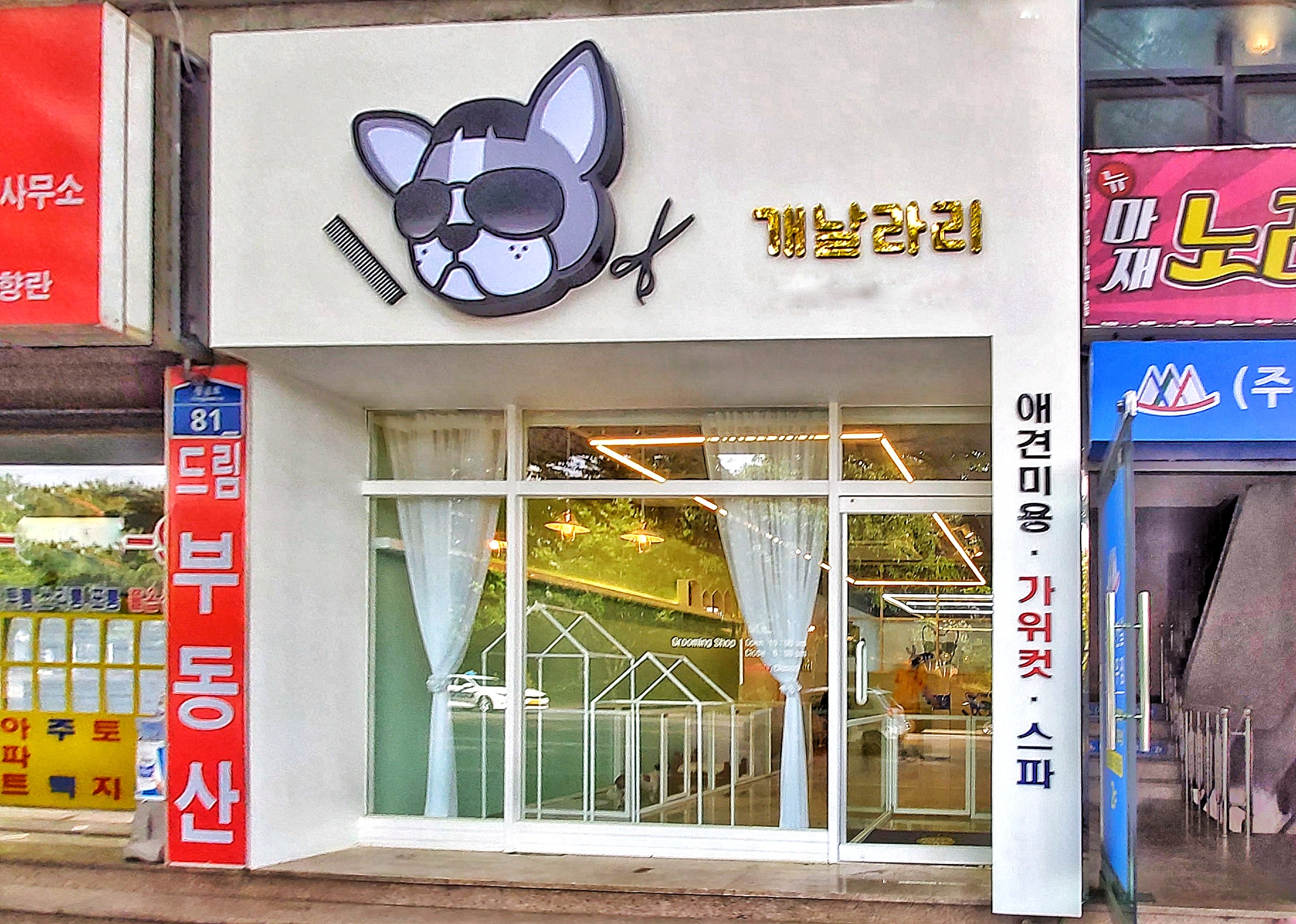개날라리 대표 이미지