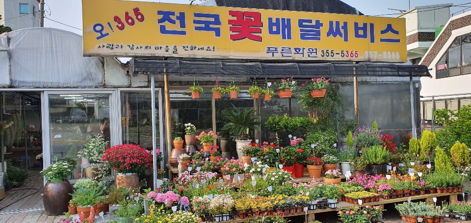 푸른꽃화원