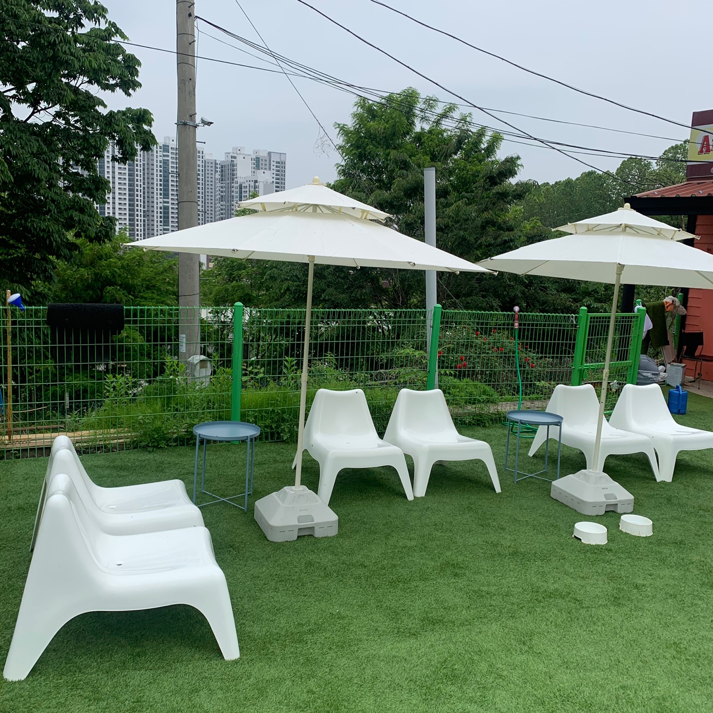 사진 3