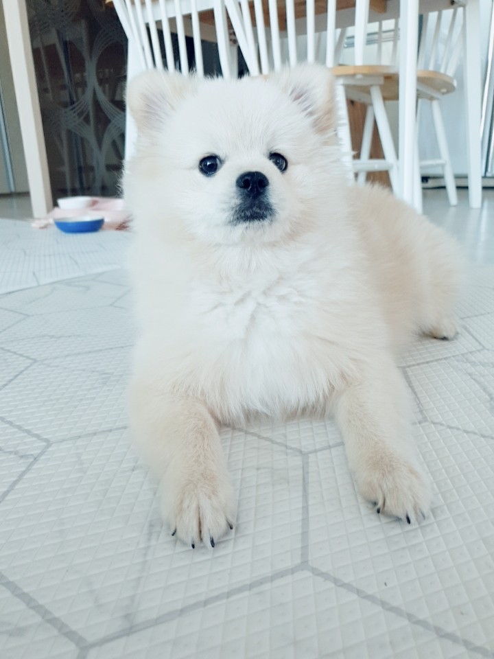 유정헤어샵