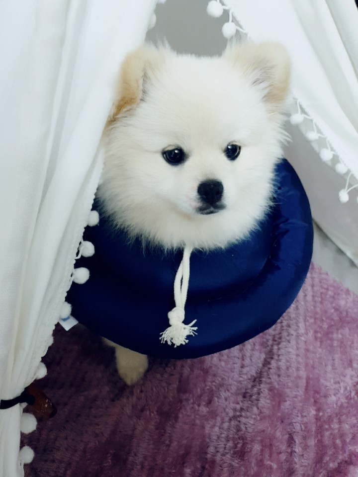 유정헤어샵