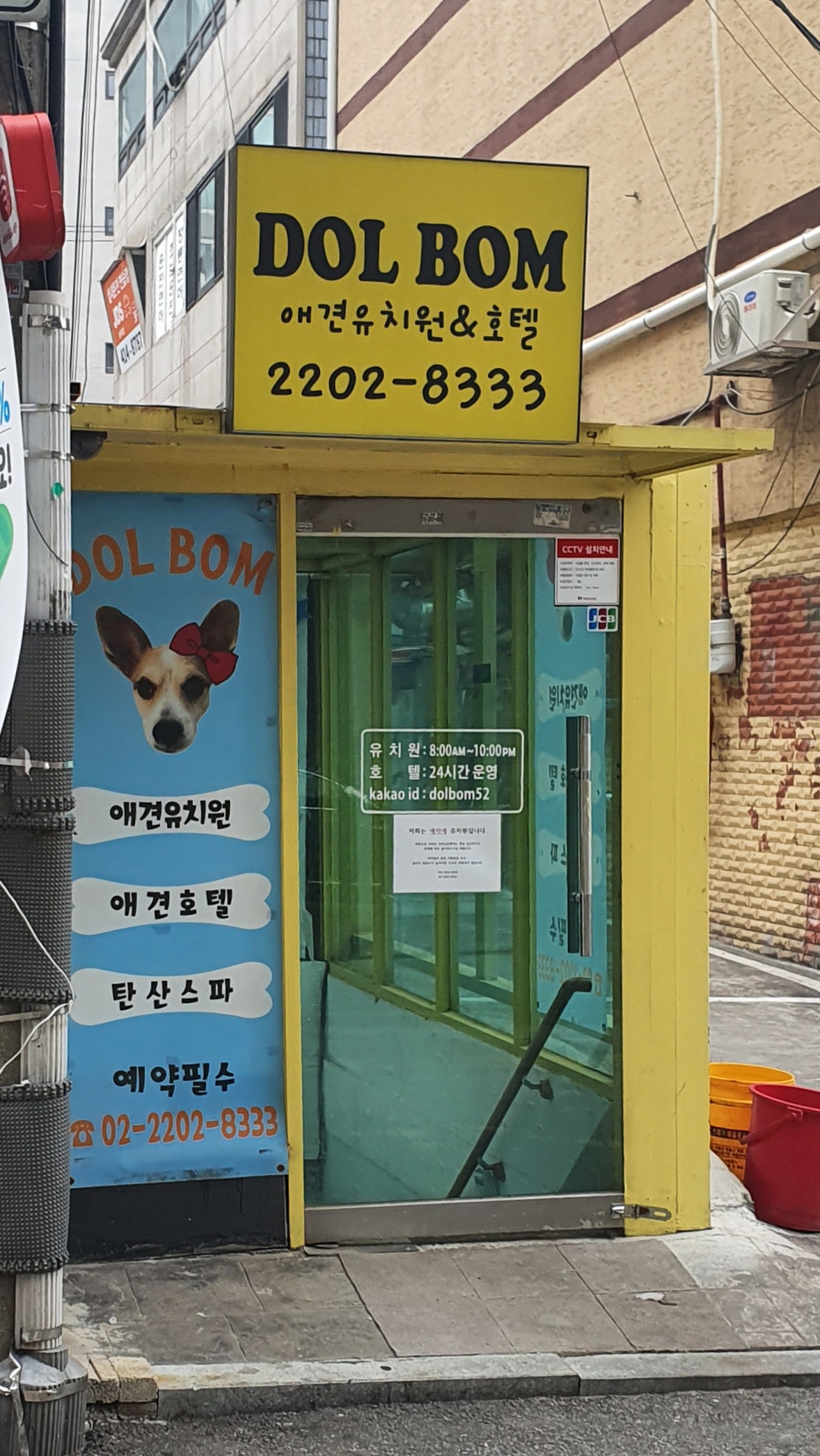 돌봄애견유치원 잠실점 대표 이미지