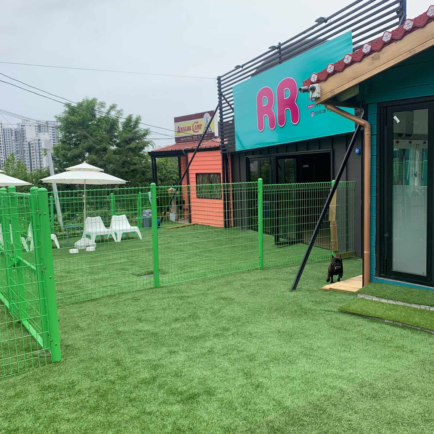 RR유치원&놀이터